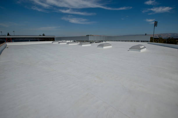 Best Flat Roofing  in Burkburnett, TX