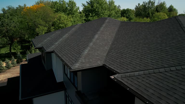 Best Roof Moss and Algae Removal  in Burkburnett, TX